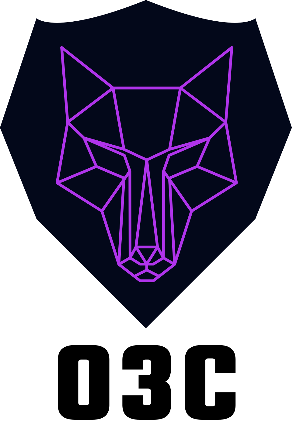 O3c Cyber